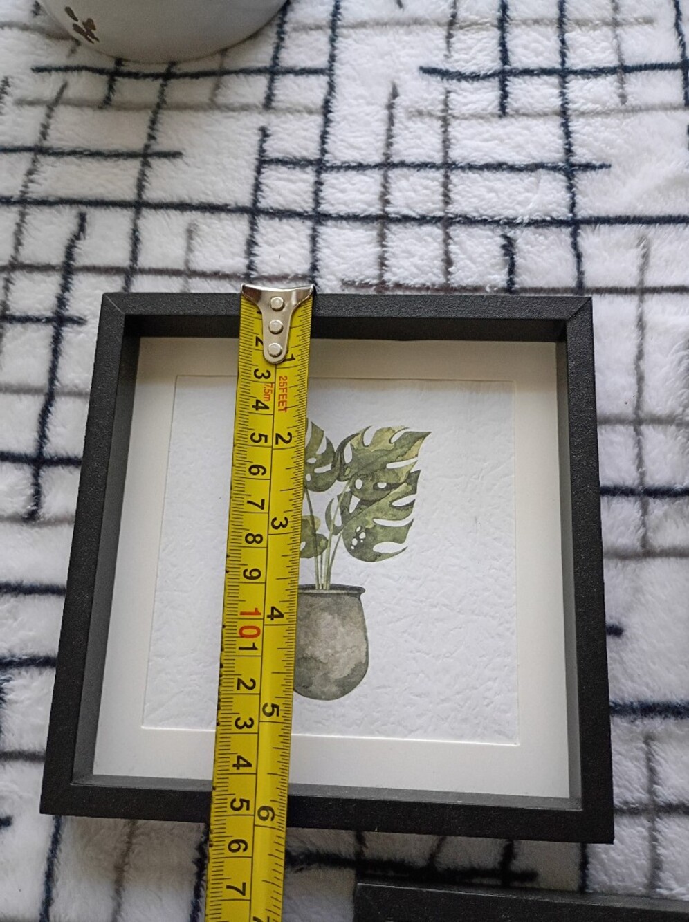 Set of 3 Framed Botanical Prints - Green Plant Art NO FLAWS - Picture 5 of 6